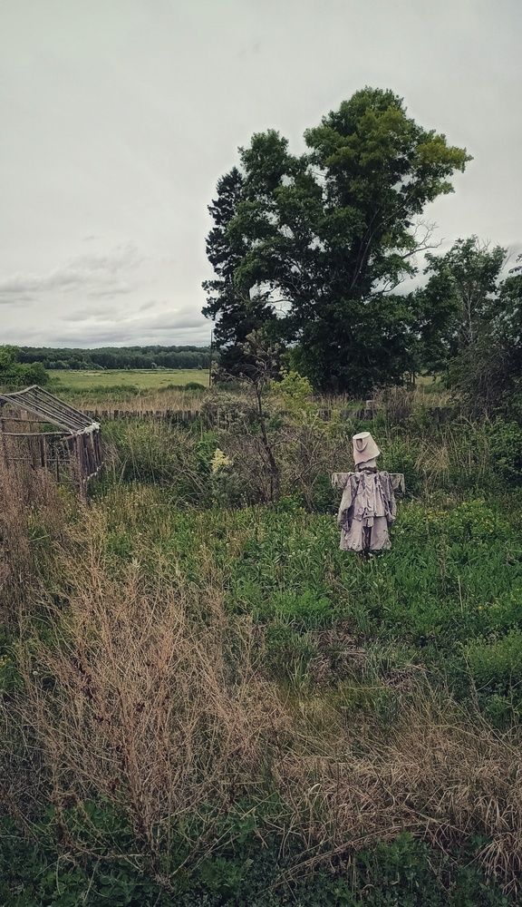 Photograph by Евгения Владимировна