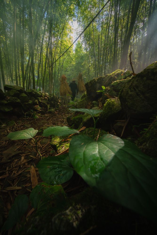 Photograph by Viet Quoc