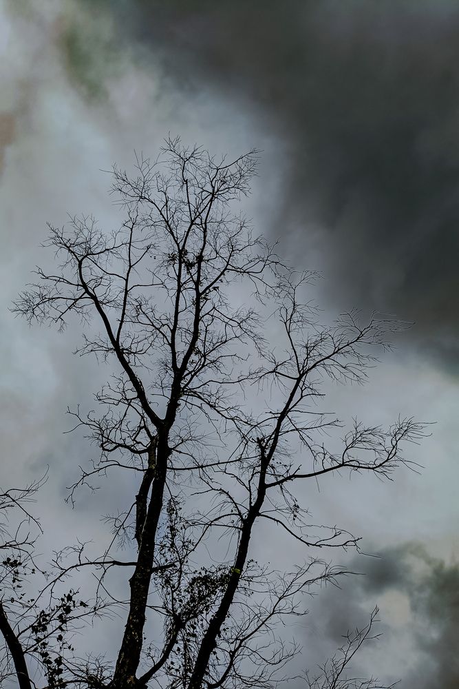 Photograph by Trinmay Bera