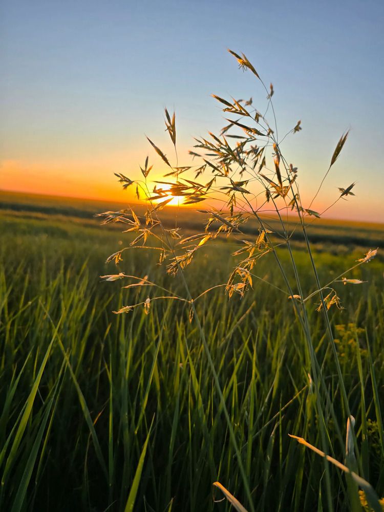 Photograph by Елена Оборник