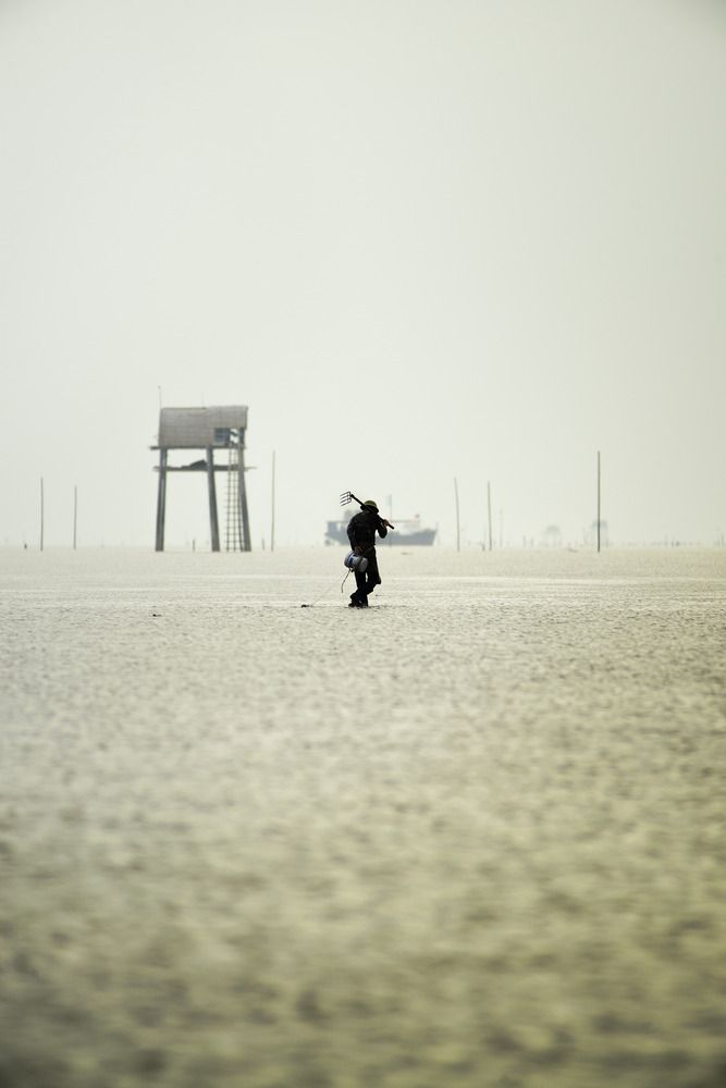 Photograph by Bùi Nguyễn