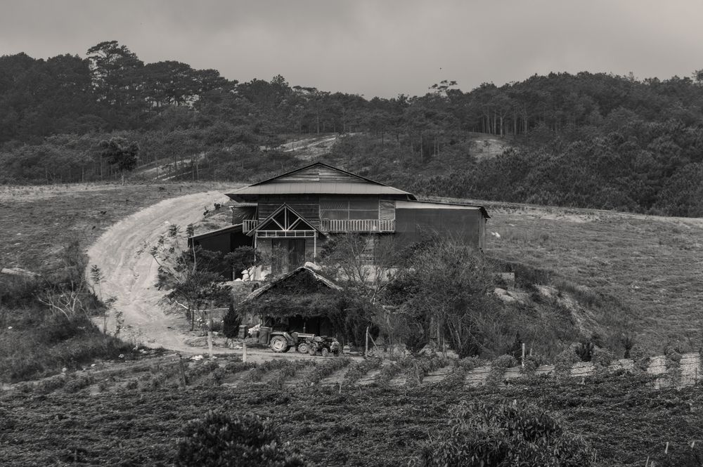 Photograph by John Chau