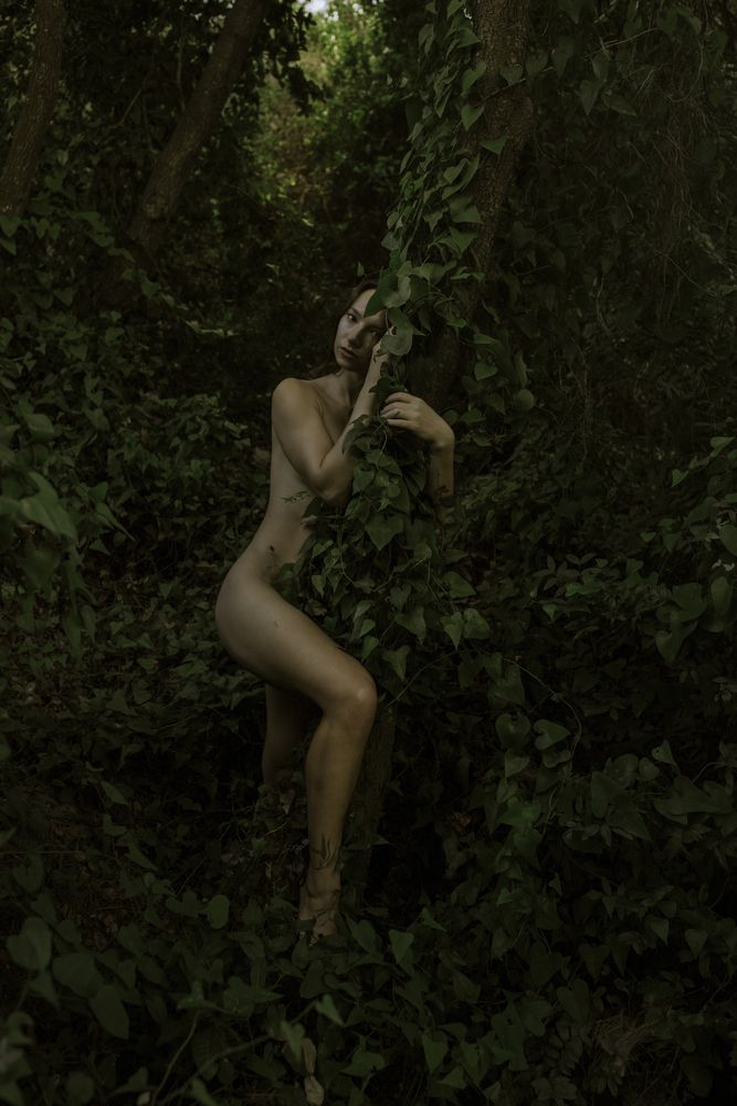 Фотография автора Violeta Sapir