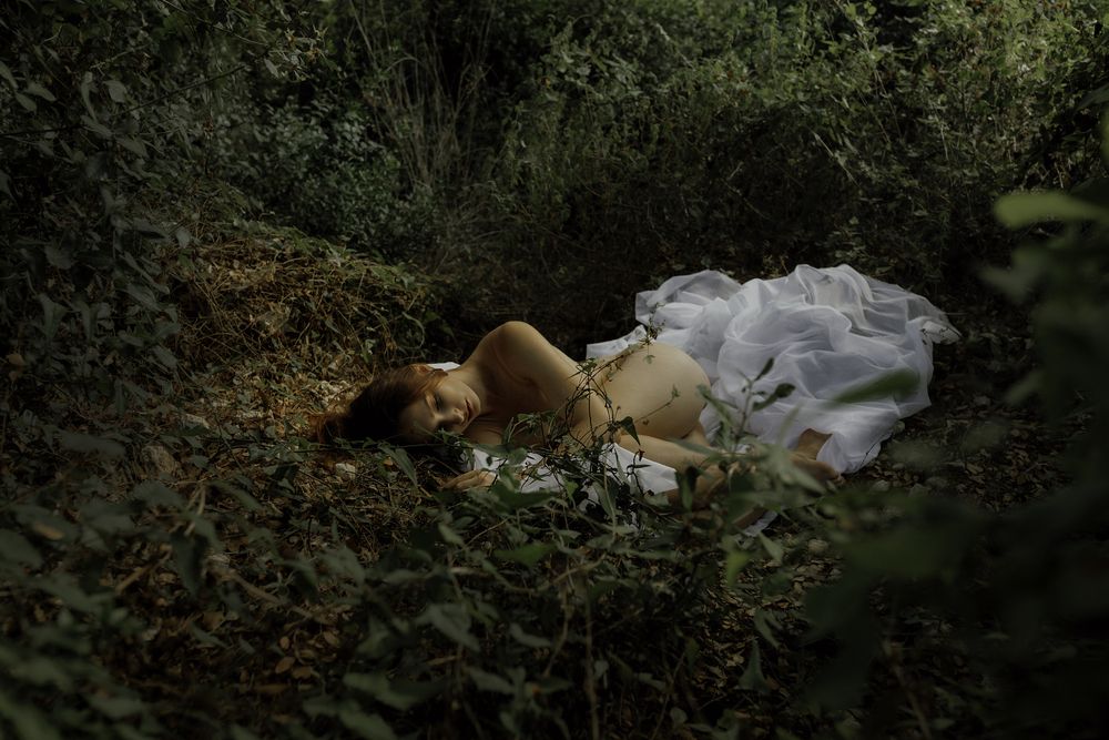 Photo #13673482