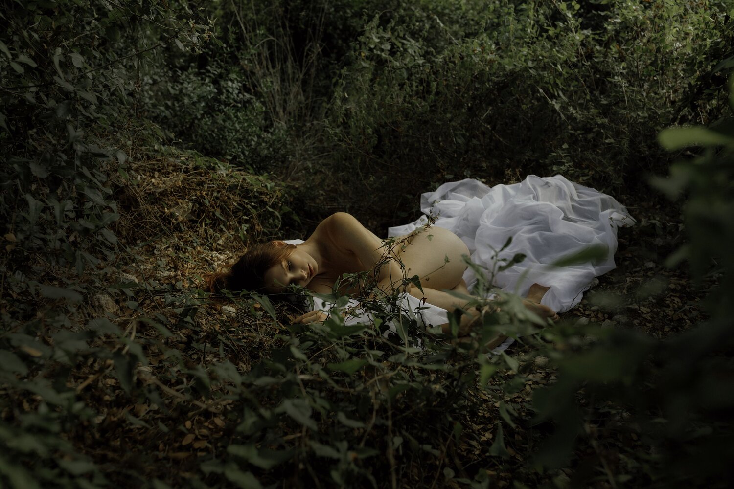 Photo #13673482