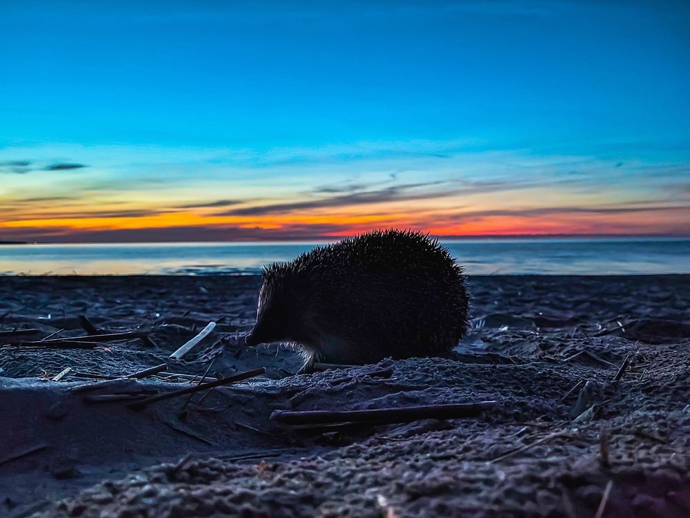 Photograph by Ольга Амосова