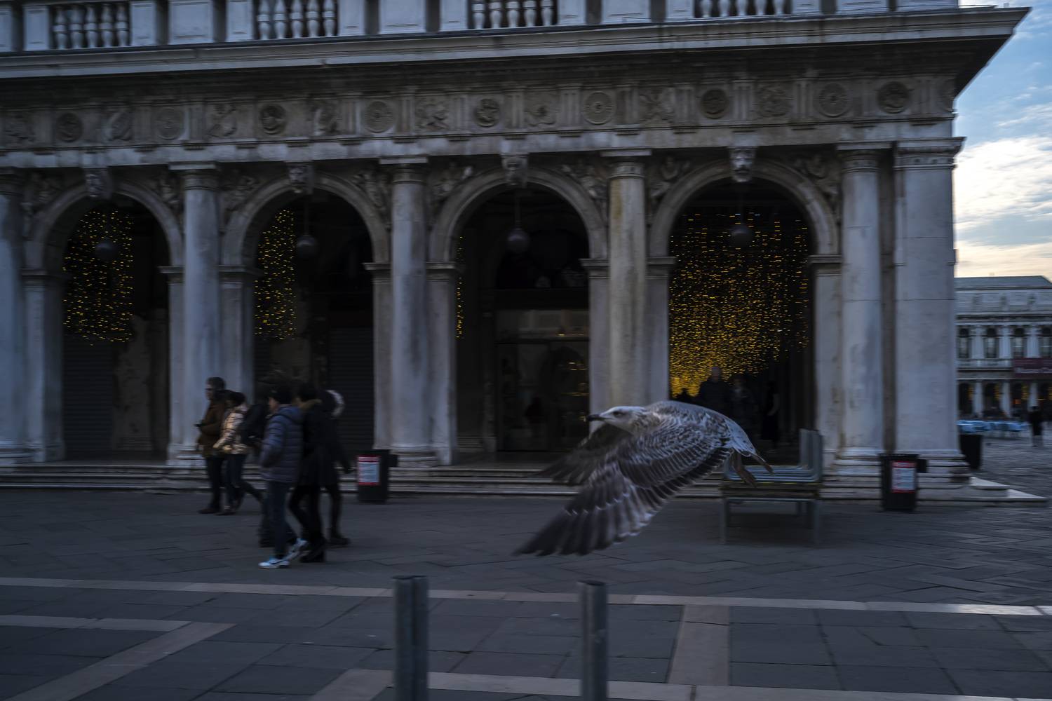 Photo #13673647