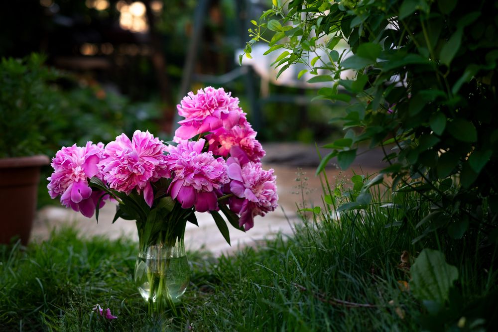 Photograph by Юлия Козельских