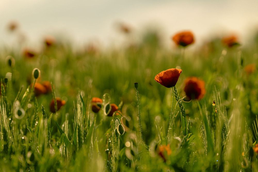 Photograph by Татьяна Берковская