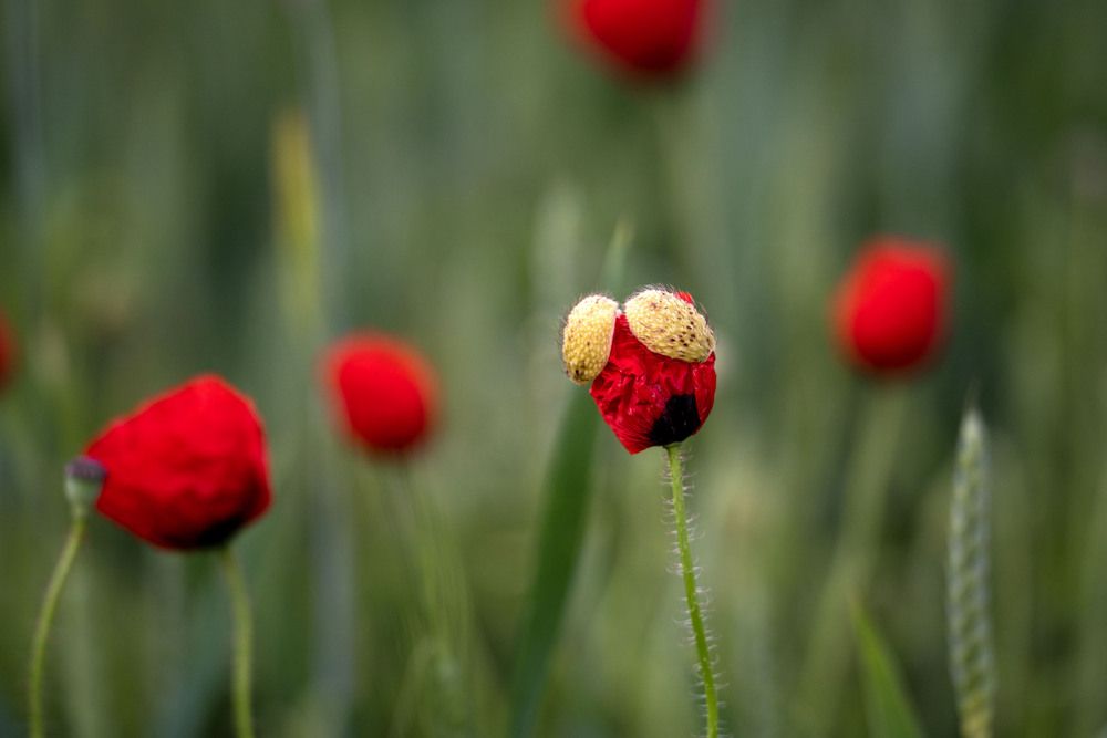 Photograph by Татьяна Берковская