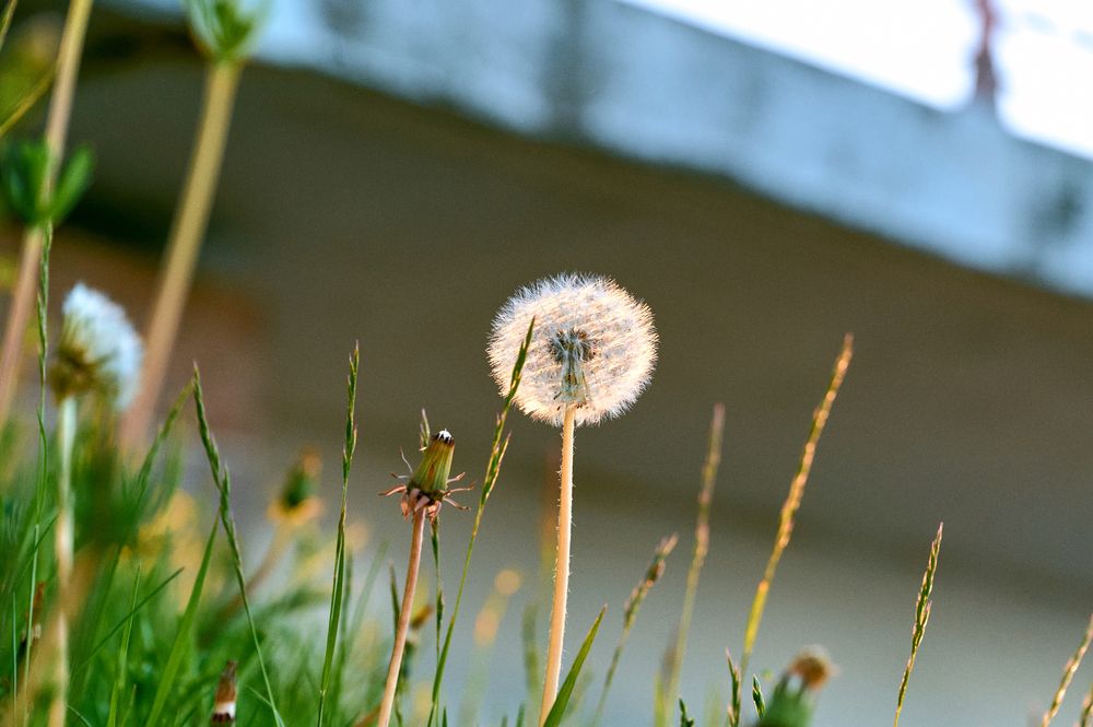 Photograph by Аверина Елена