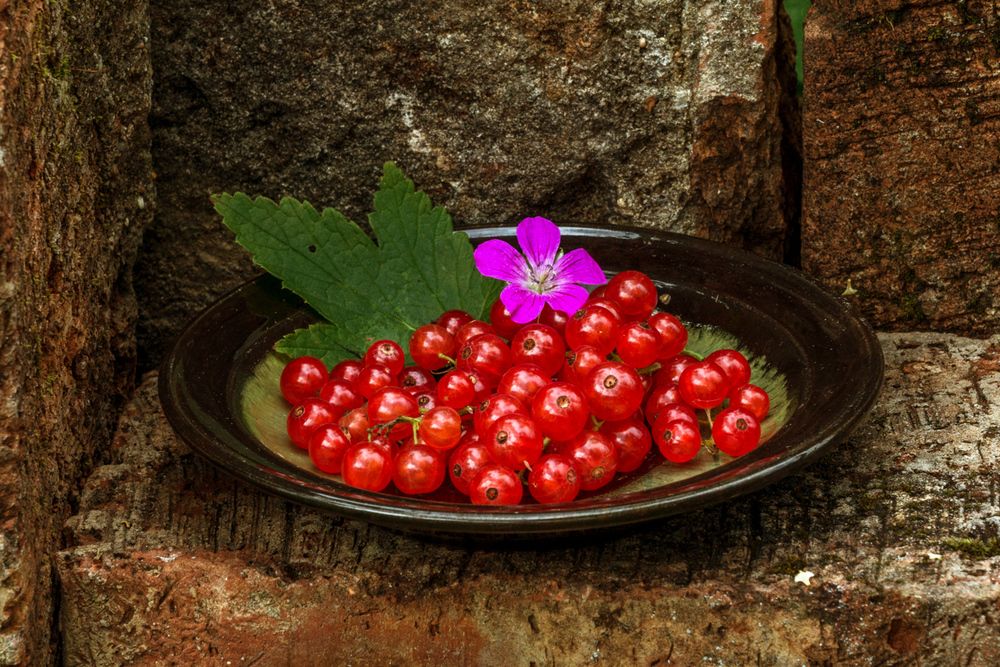 Photograph by Сергей Алексеев
