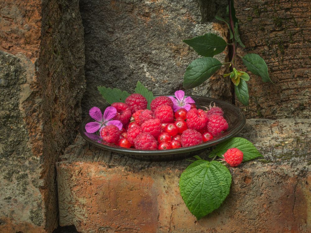 Photograph by Сергей Алексеев