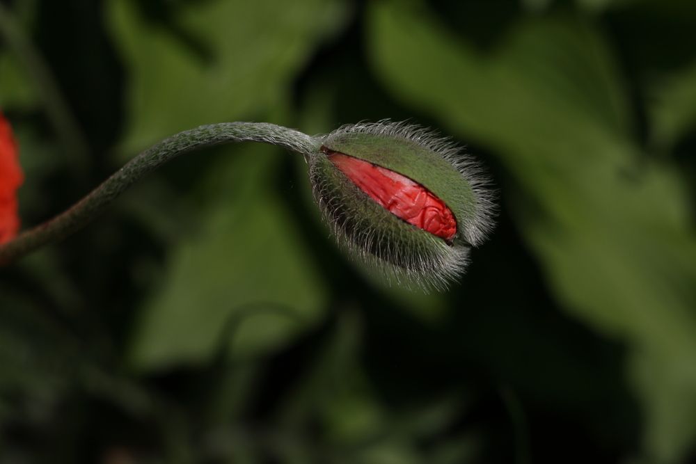 Photograph by Татьяна Байкова