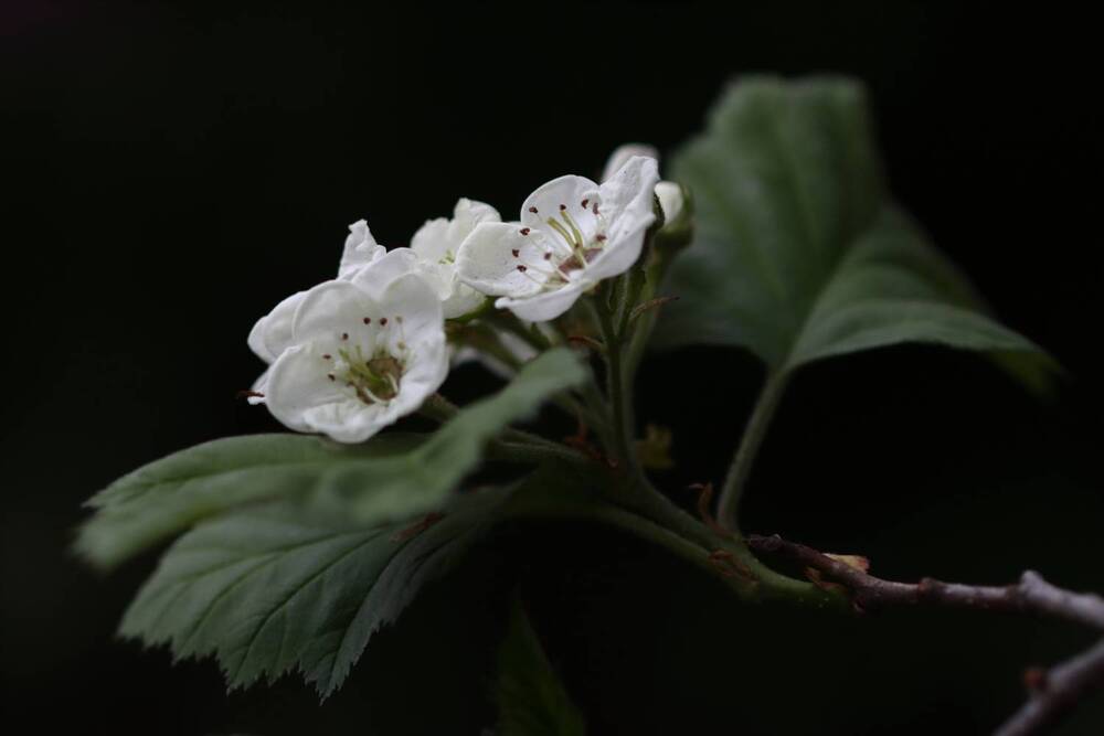 Photograph by Татьяна Байкова