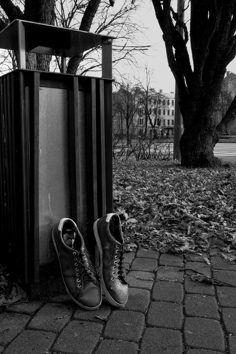 Photo #13673966