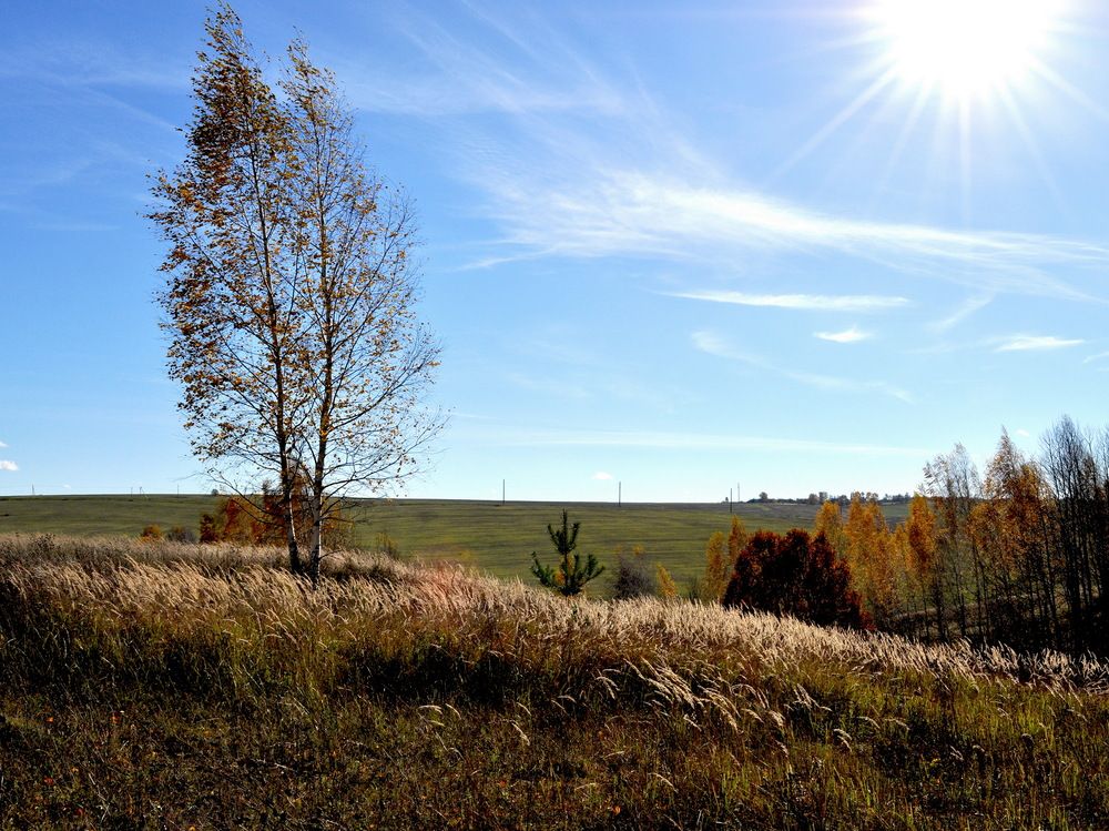 Photograph by Людмила Низова