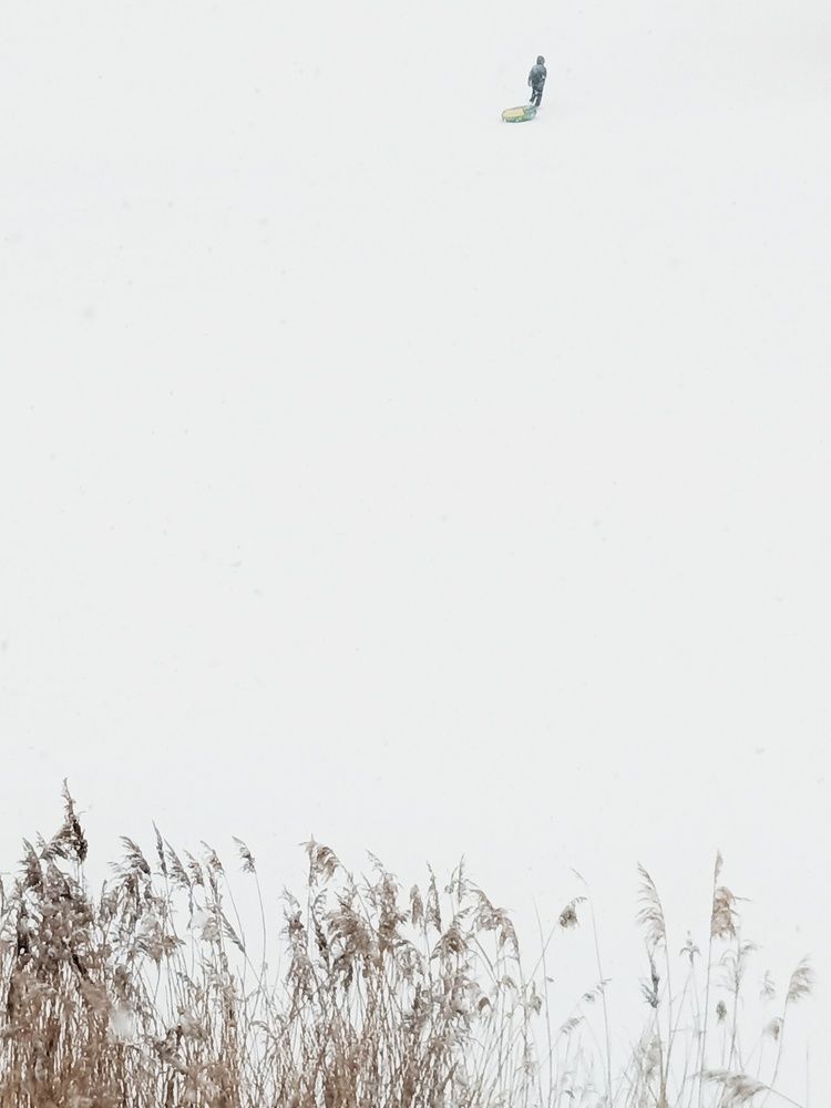 Photograph by Анастасия Чепурнова
