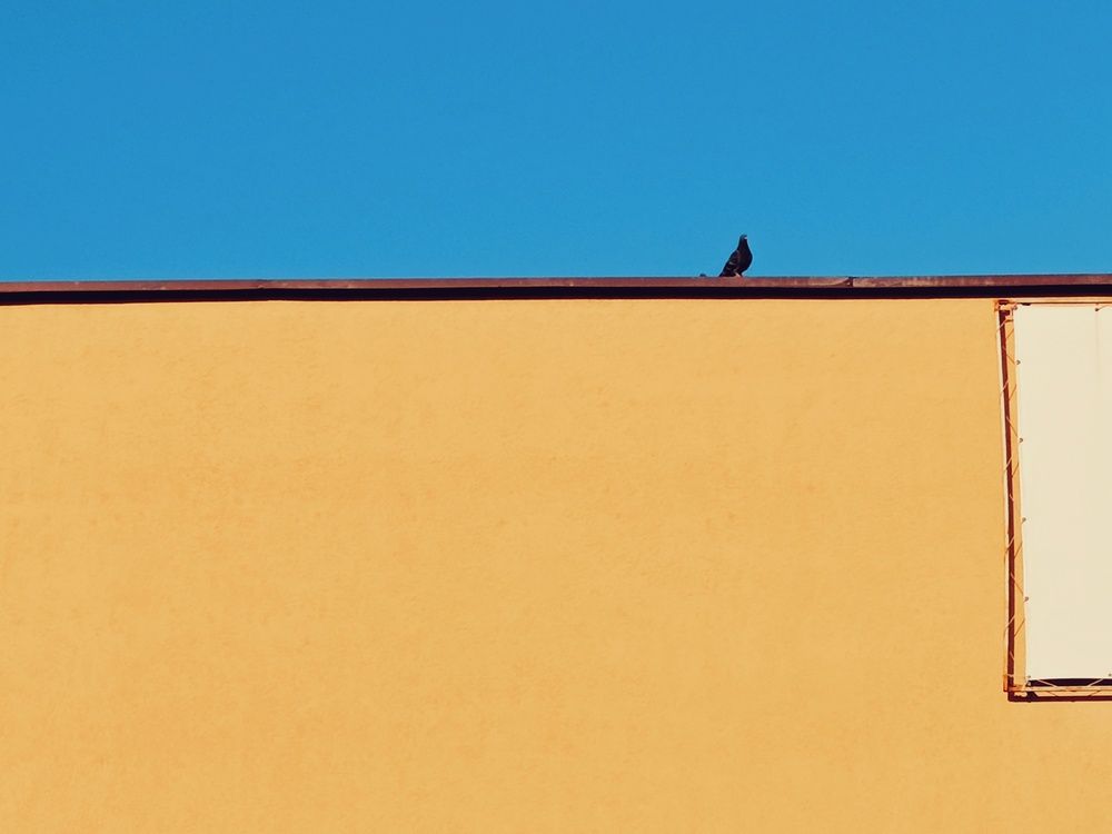 Photograph by Анастасия Чепурнова
