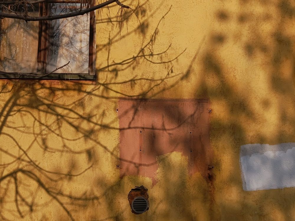 Photograph by Анастасия Чепурнова