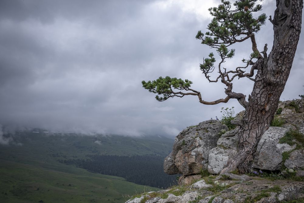 Photograph by Алексей Мякота