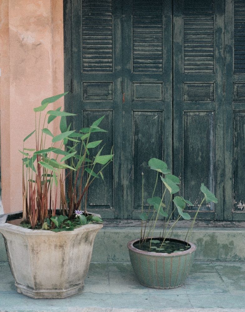 Photograph by Наталья Трофимова