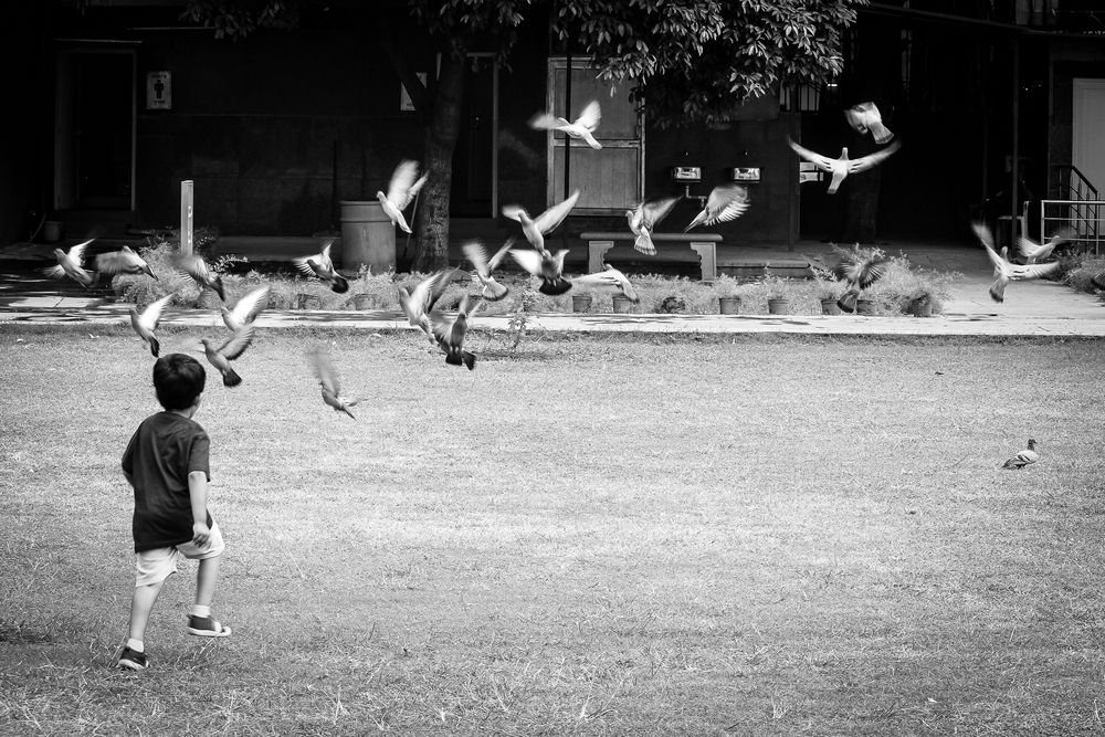 Photograph by Subhajit Datta