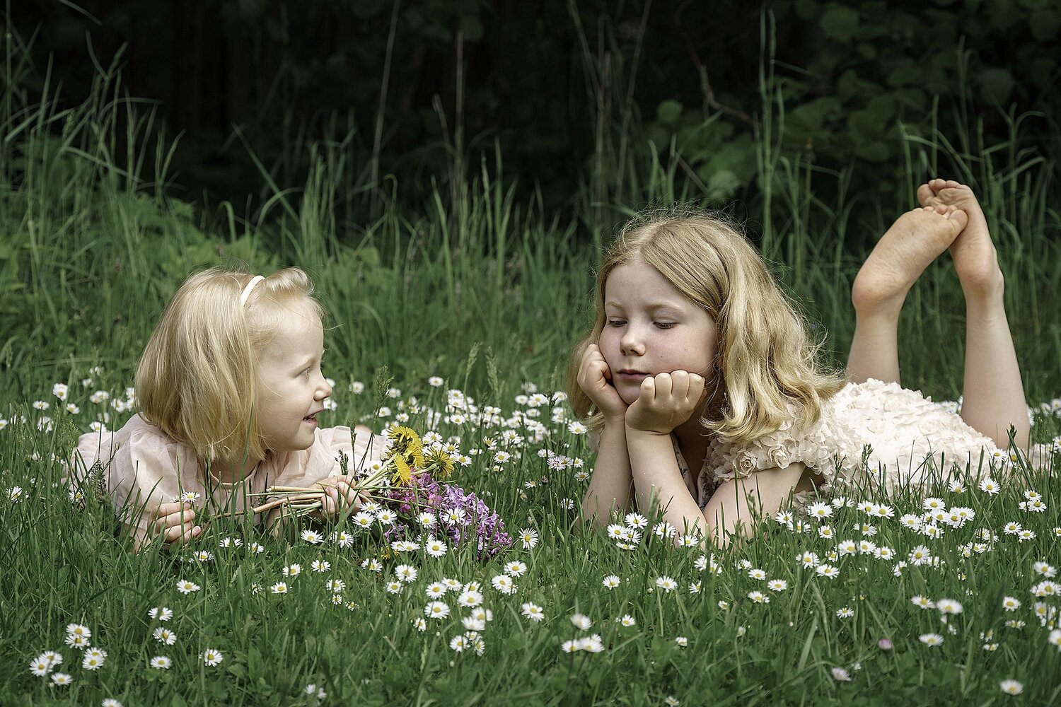 Photo #13674437