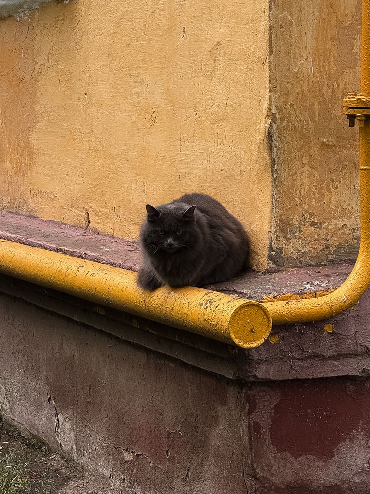Photograph by Наталья Чехова