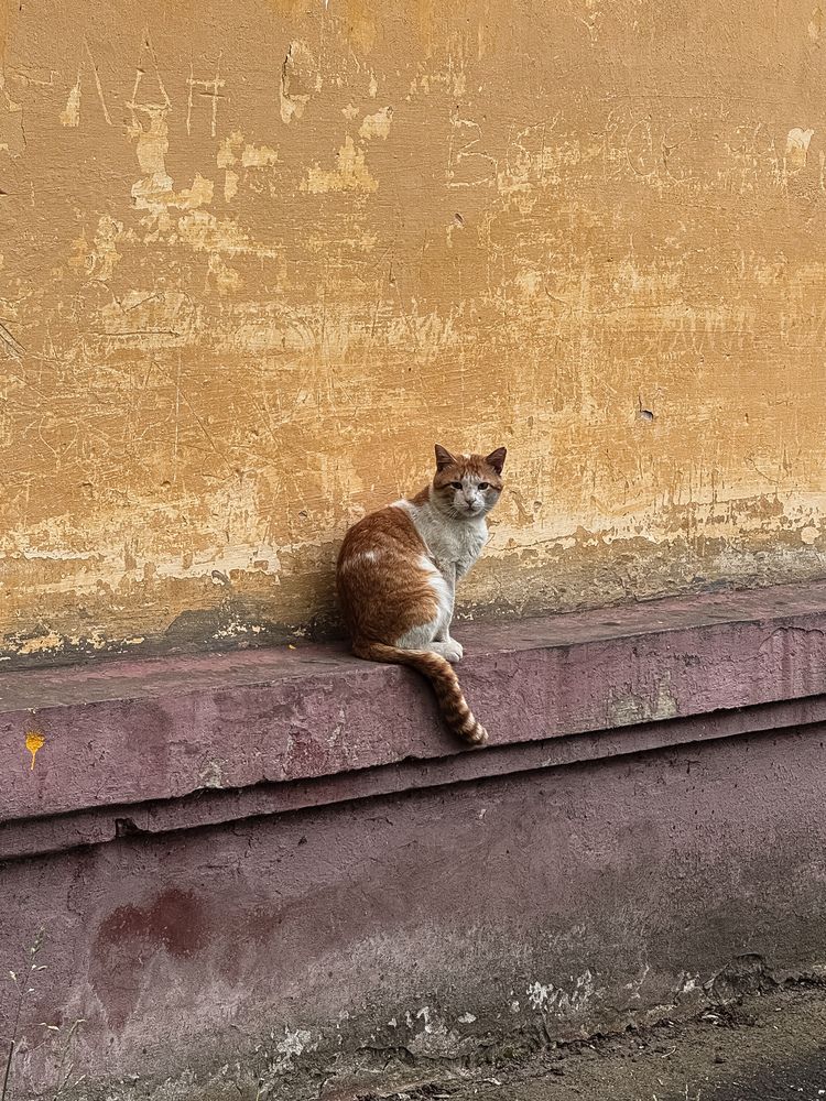 Photograph by Наталья Чехова