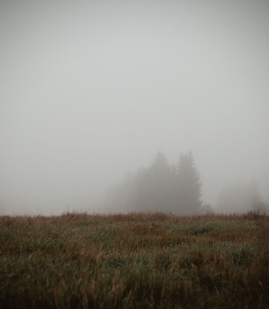 Photograph by Ольга Белогузова
