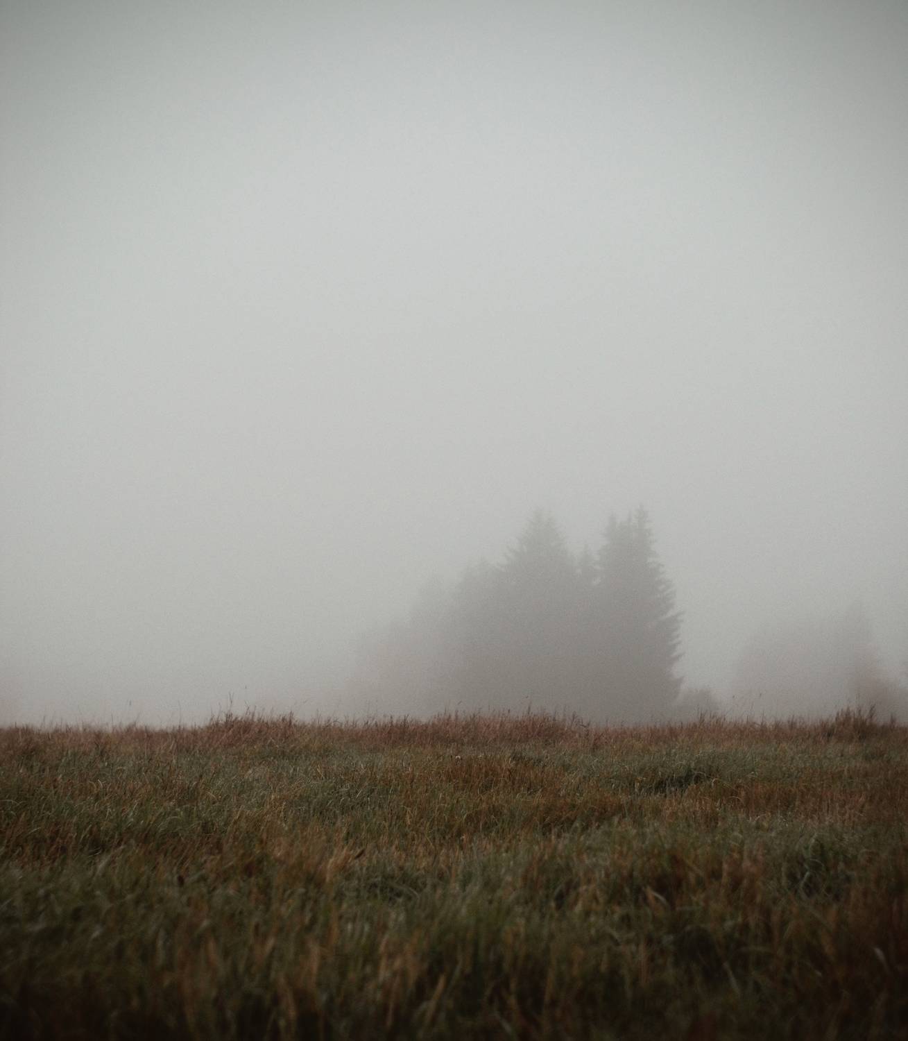 Photo #13674534