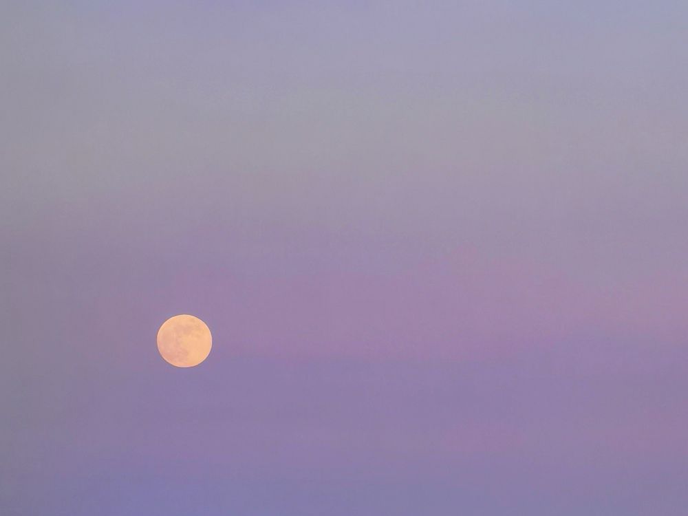 Photograph by Наталья Лощилина