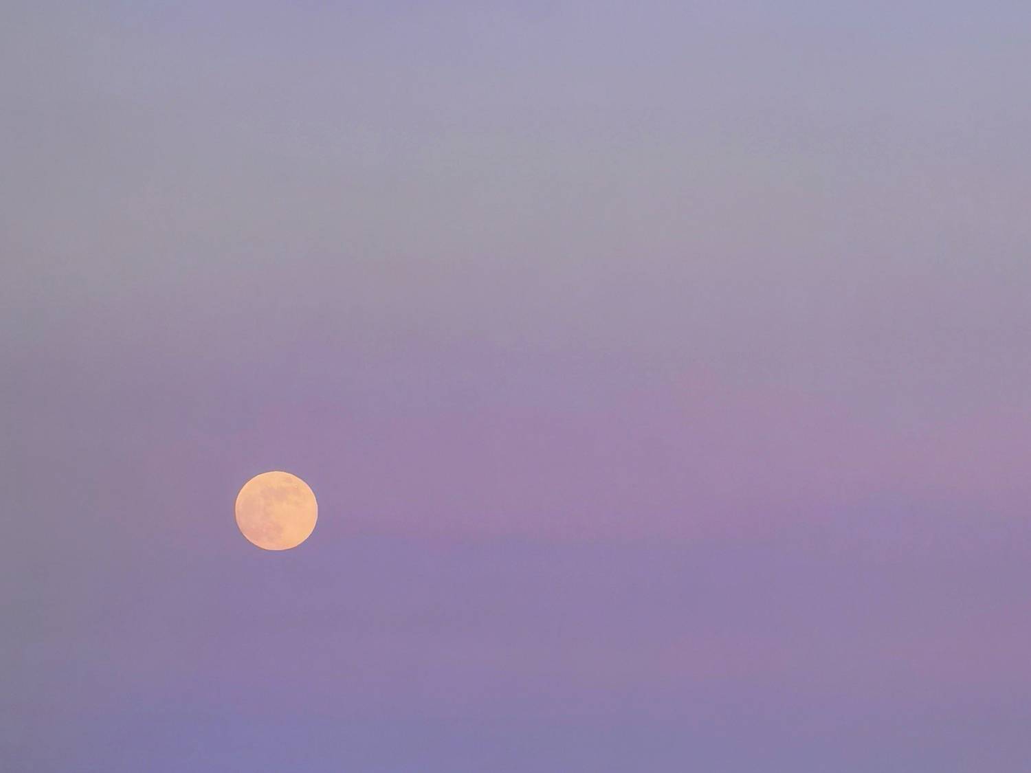 Photo #13674575