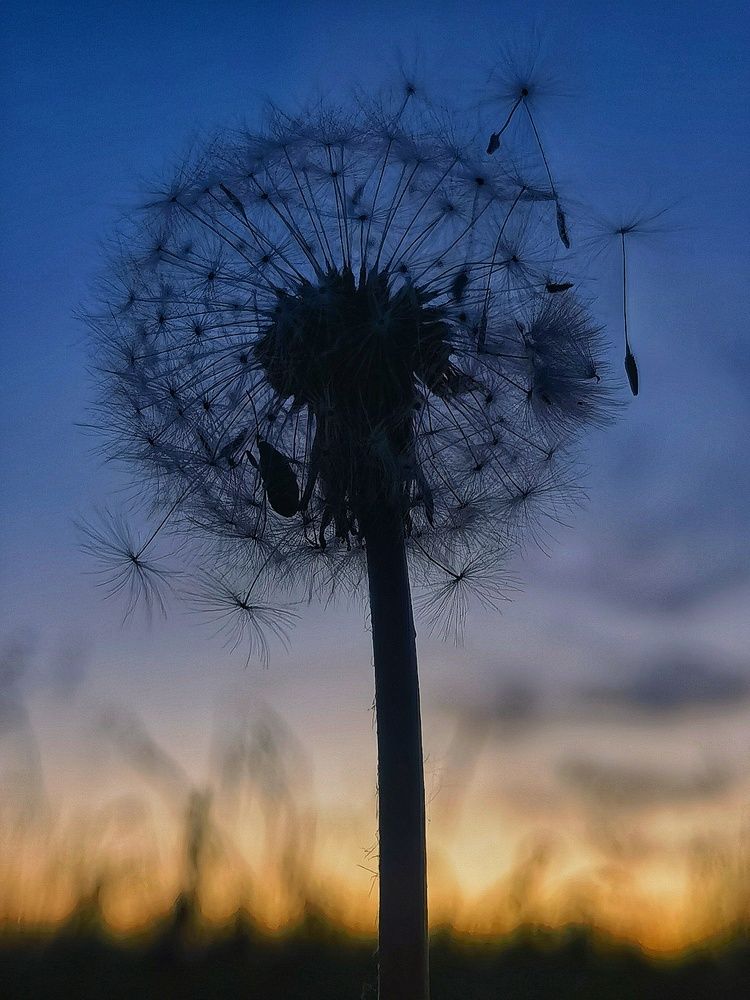 Photograph by Наталья Лощилина