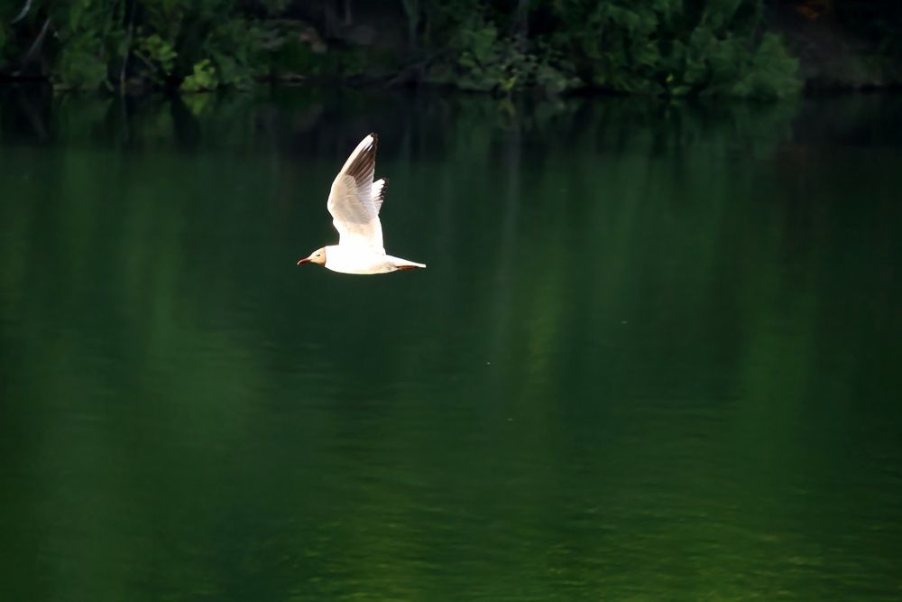 Photograph by Надежда Васильевна