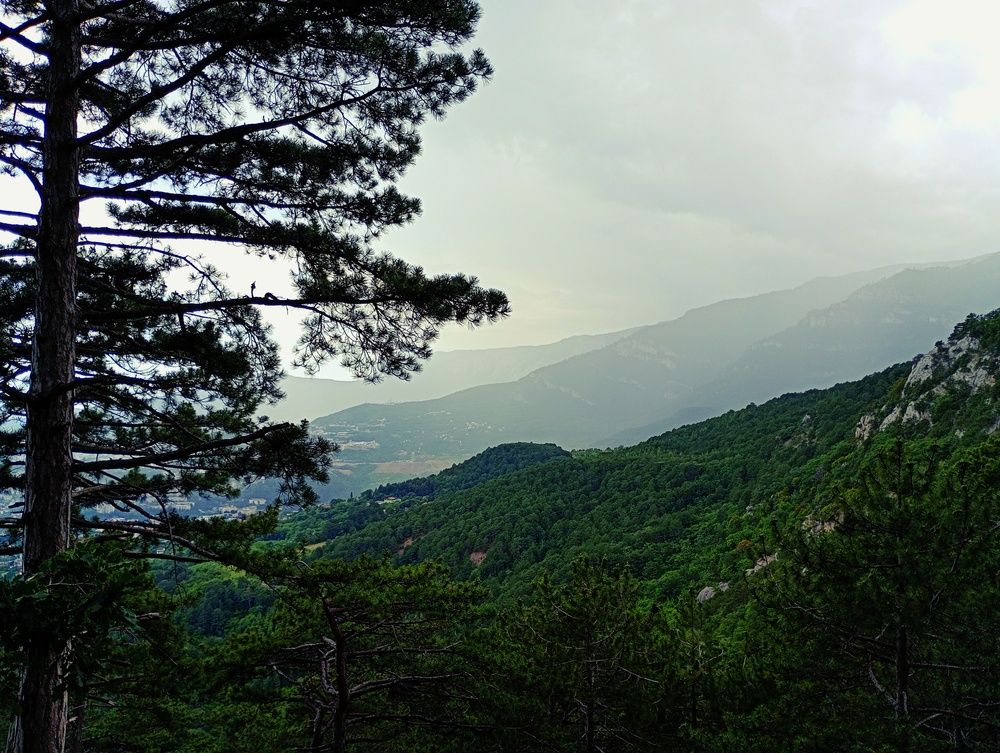 Photograph by Светлана Кучеренко