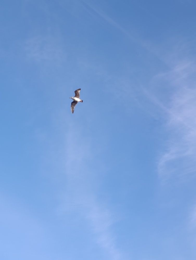 Photograph by Яна Суханова