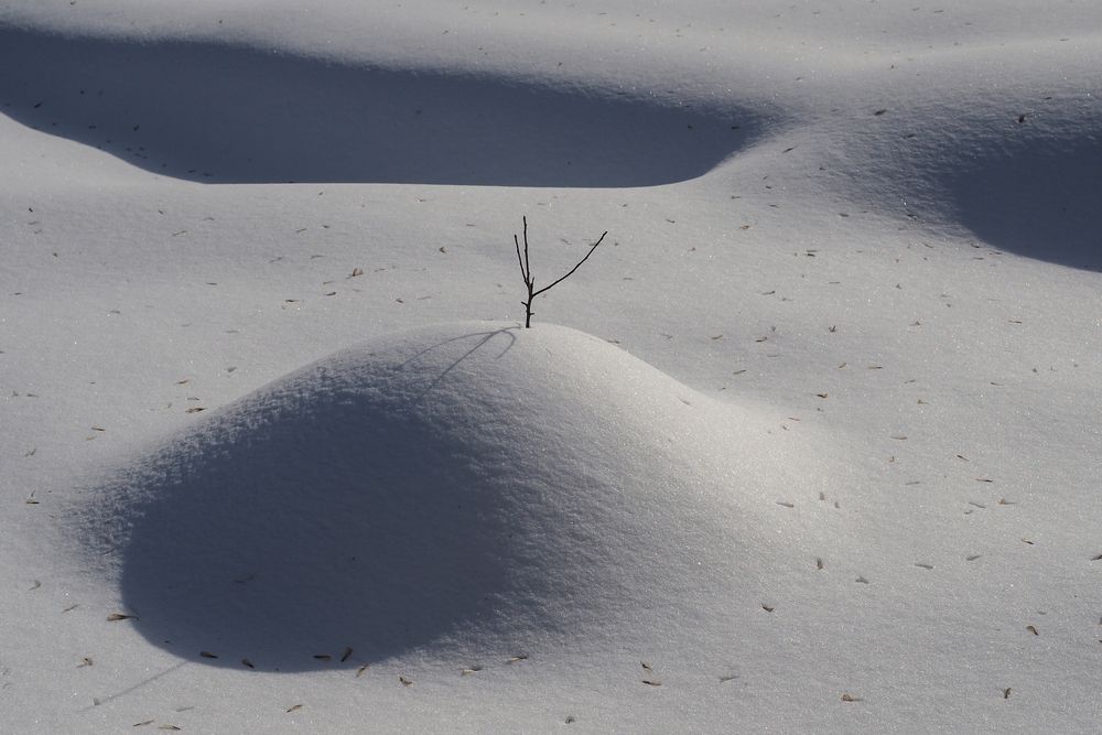 Photograph by Сергей Гаврилов
