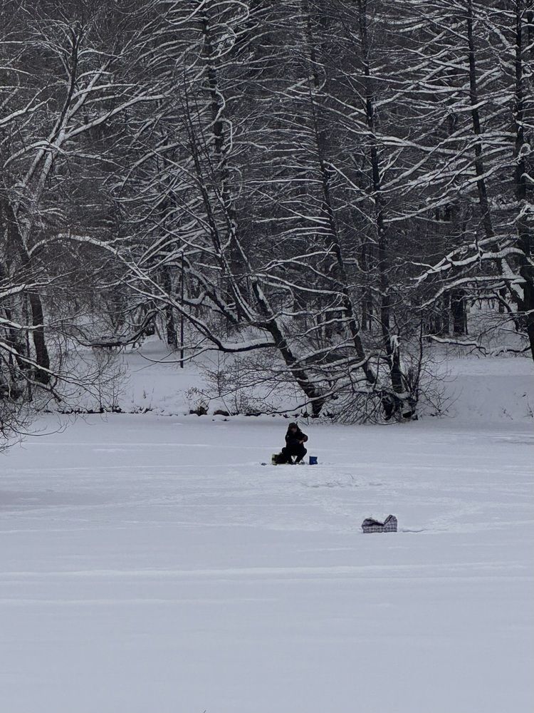 Photograph by Анастасия Лотова