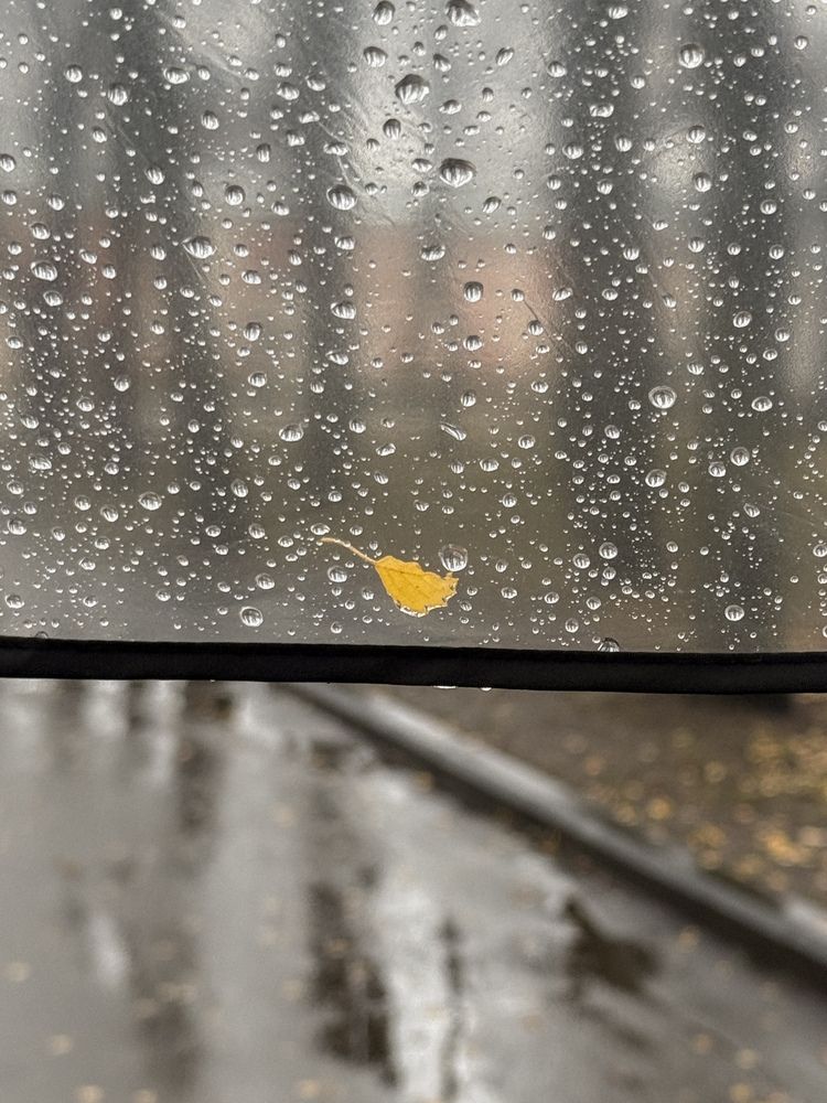 Photograph by Анастасия Лотова