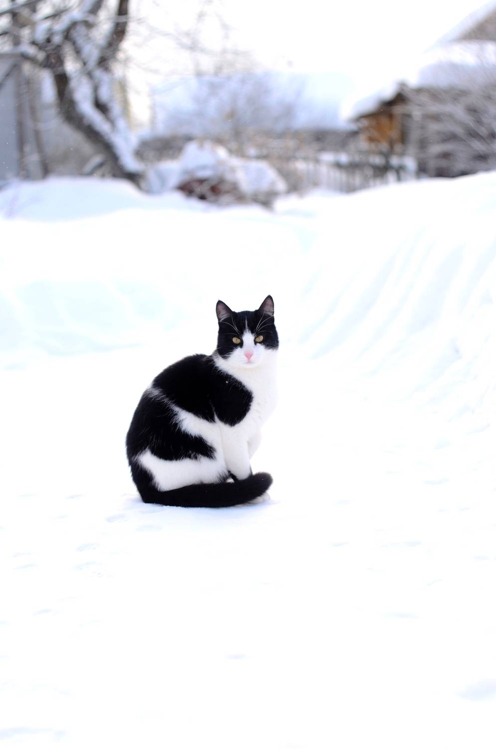 Photo #13674744