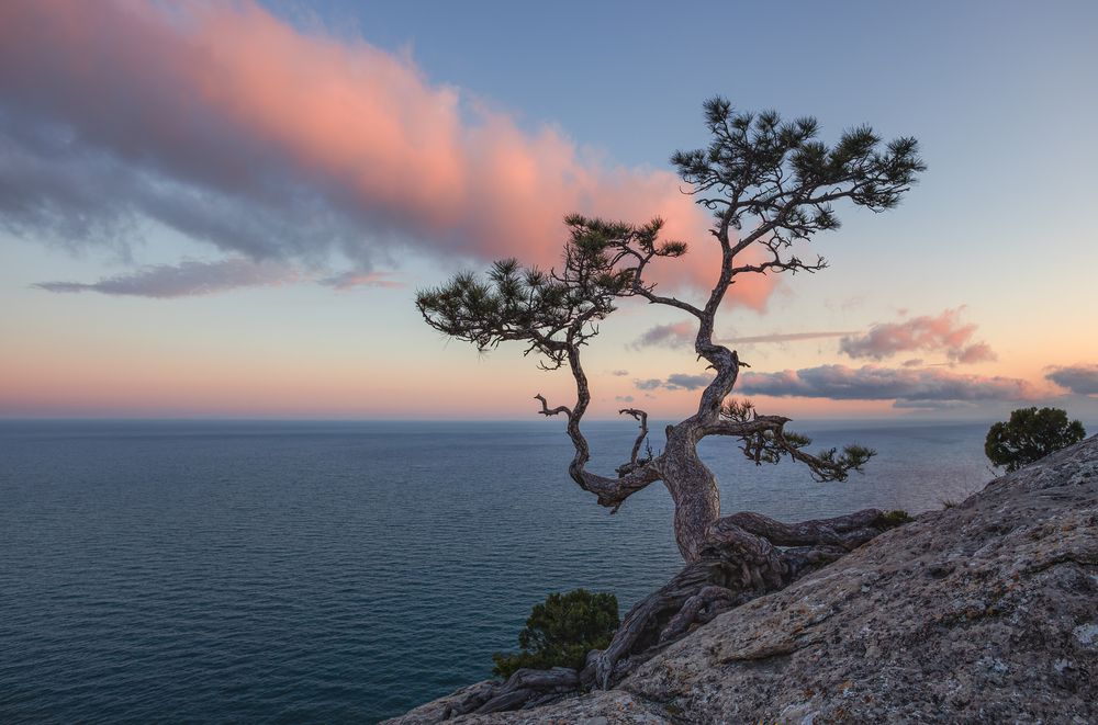 Photograph by Щепотина Татьяна