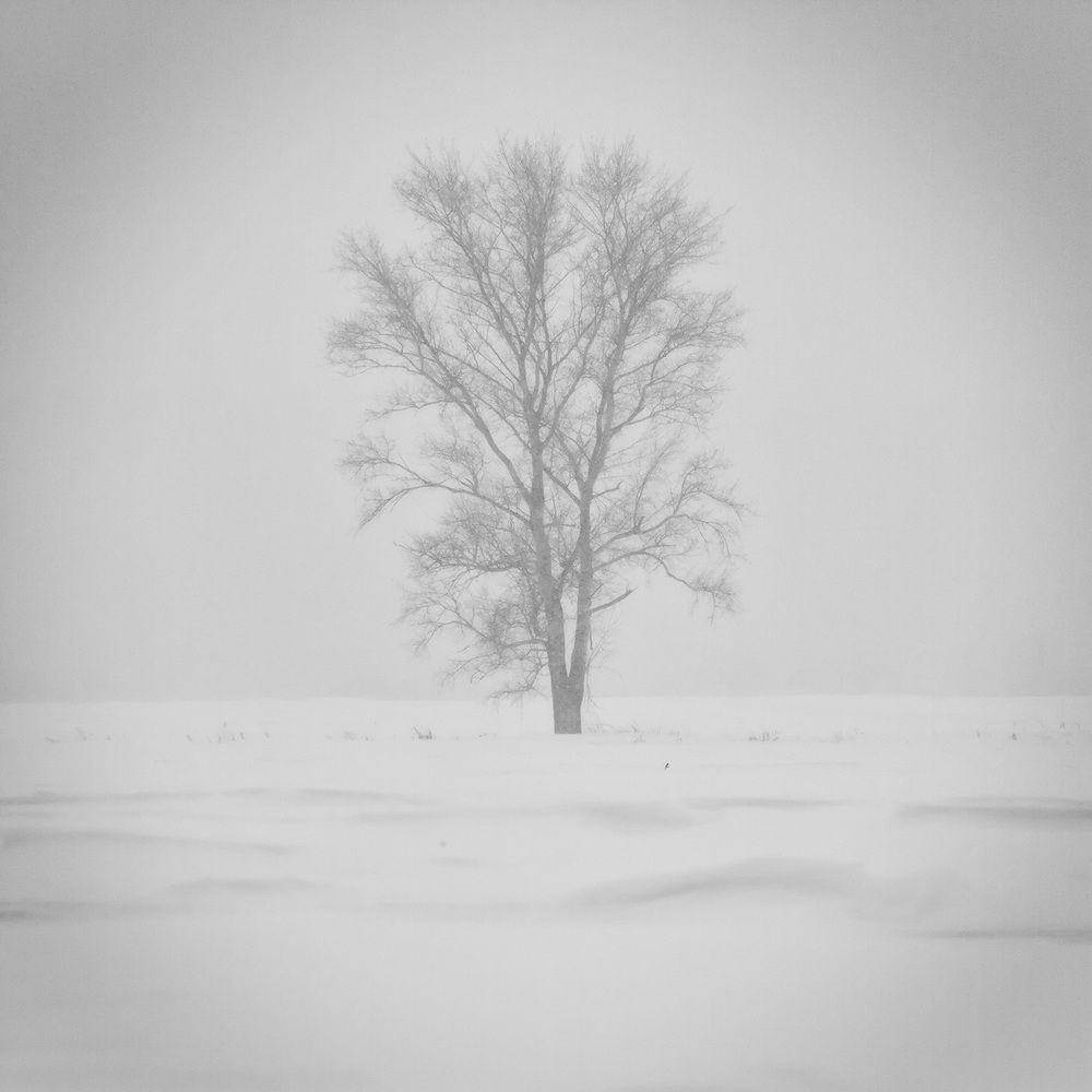 Photograph by Дмитрий Зотов