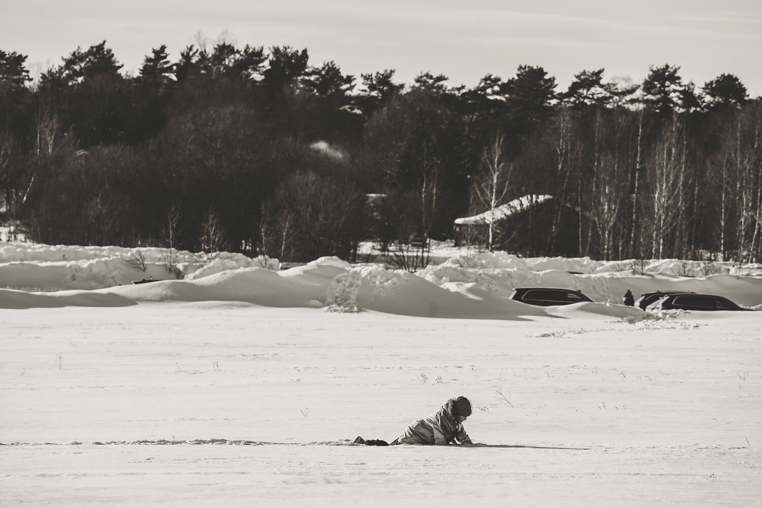 Photo #13675012