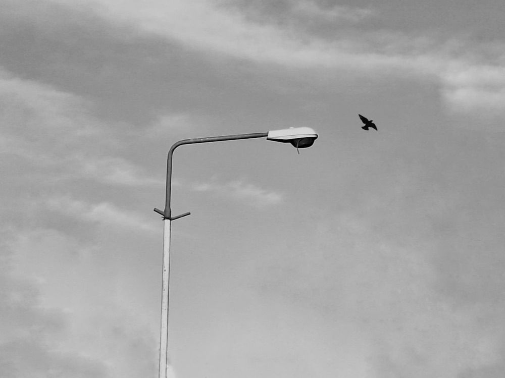 Photograph by Zahra akbari