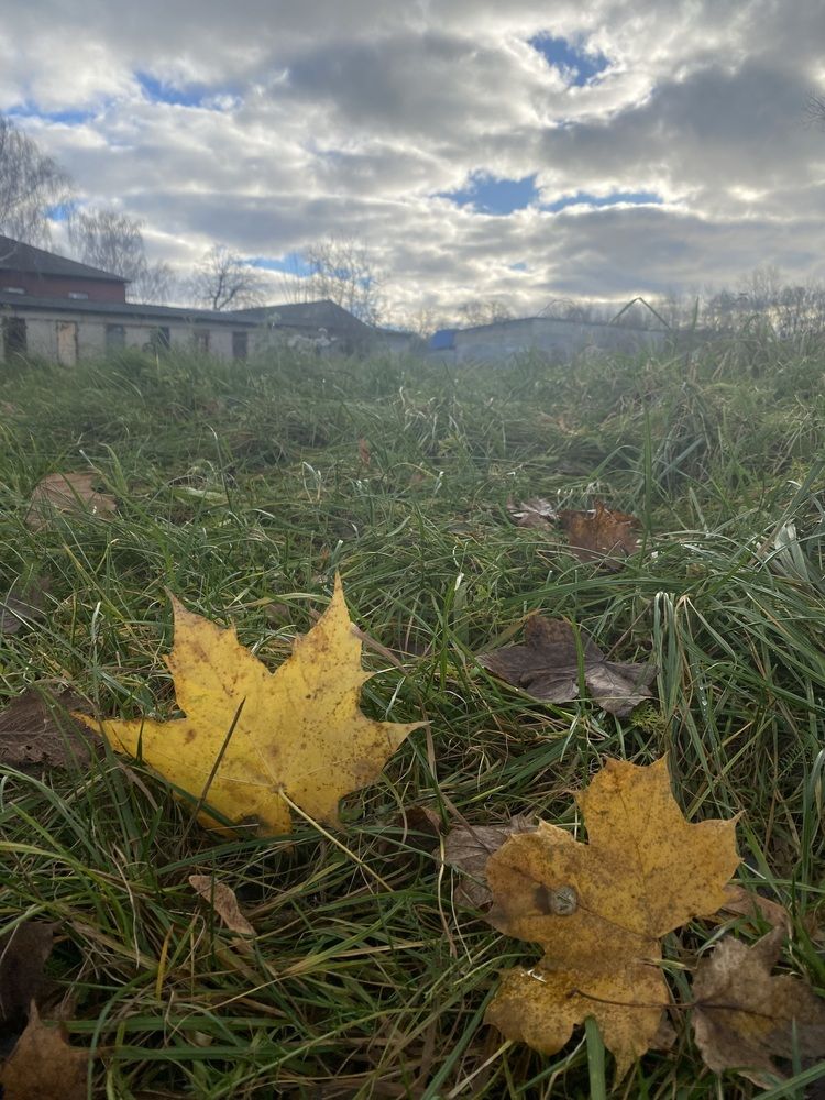 Photograph by Лапаева Наталья