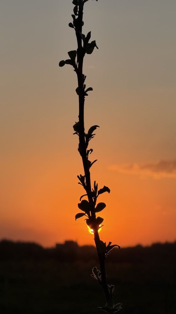 Photograph by Елена Гущина