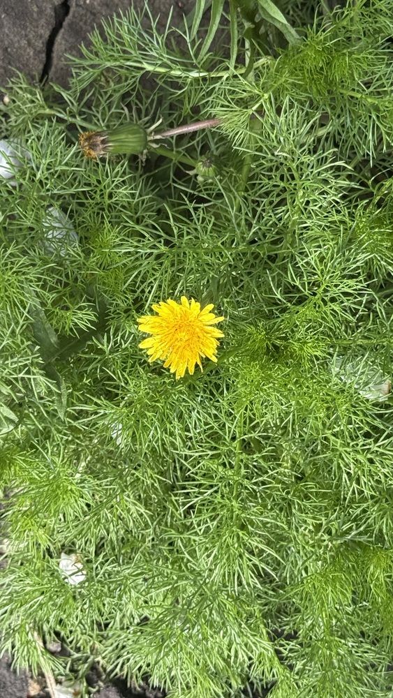 Photograph by Елена Гущина