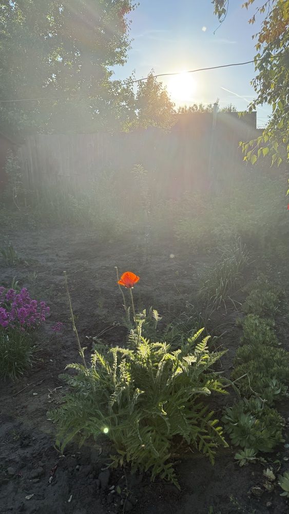 Photograph by Елена Гущина